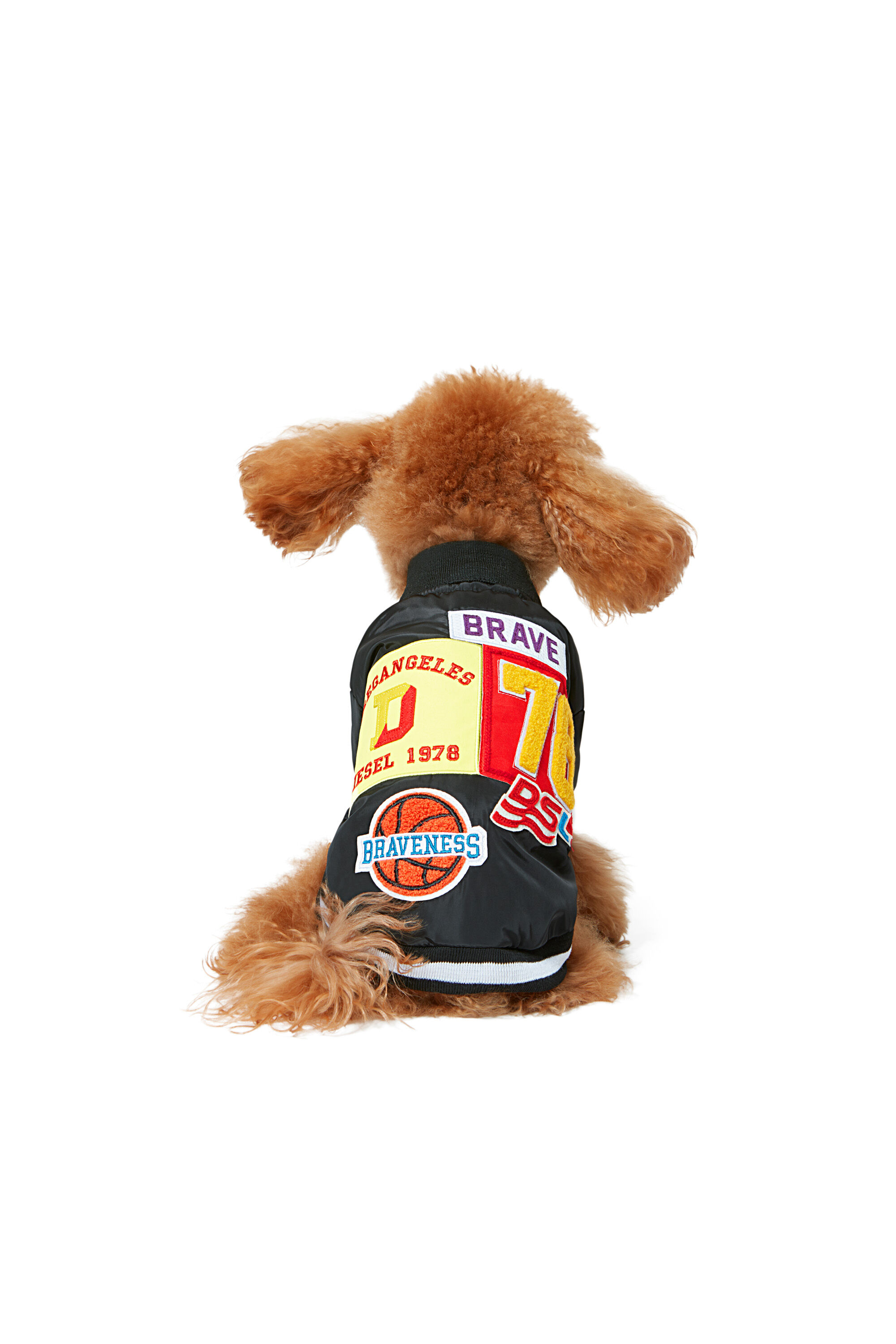 Pet supply sites 2025