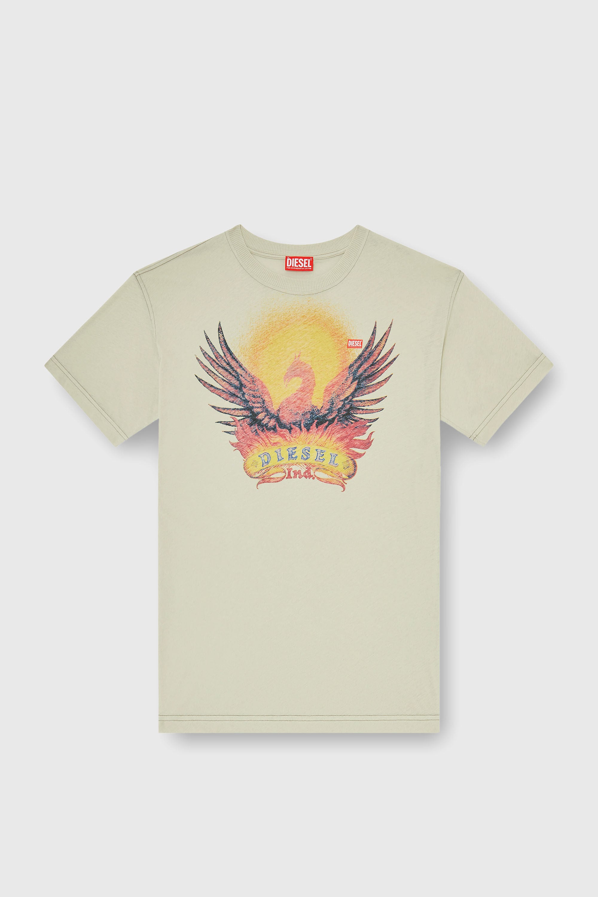Diesel - T-NORM-AA1, Man's Regular T-shirt with Phoenix print in Beige - 2