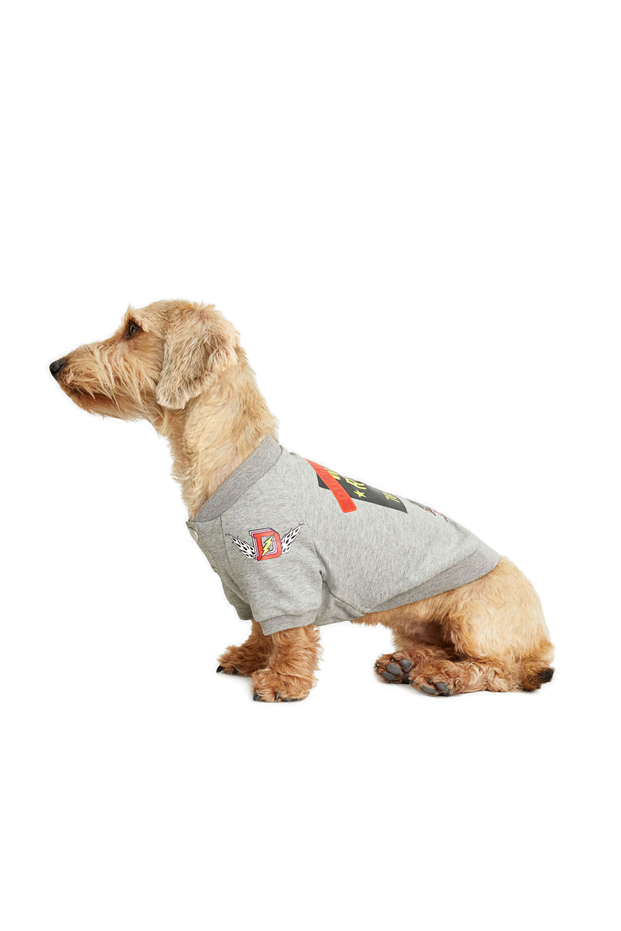 Service hotsell dog sweater