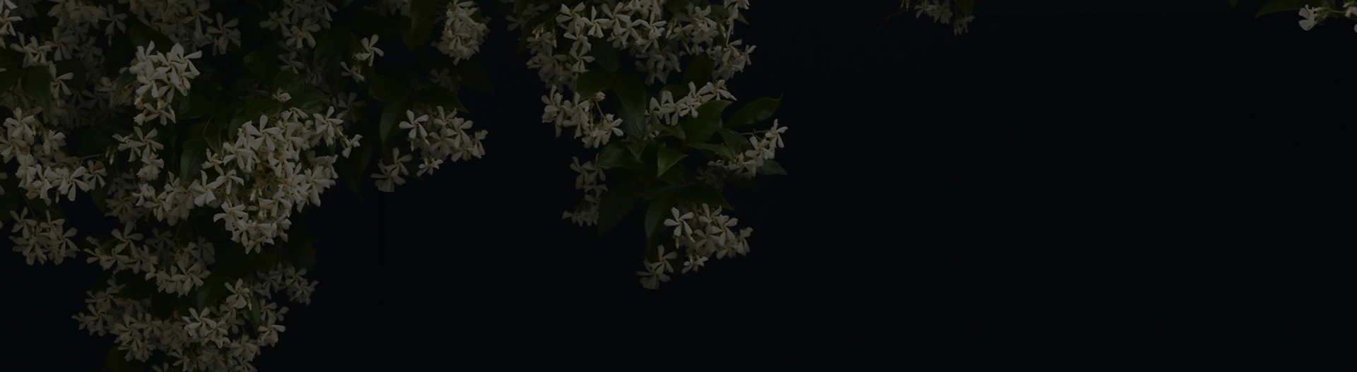 diesel shoes sale uk