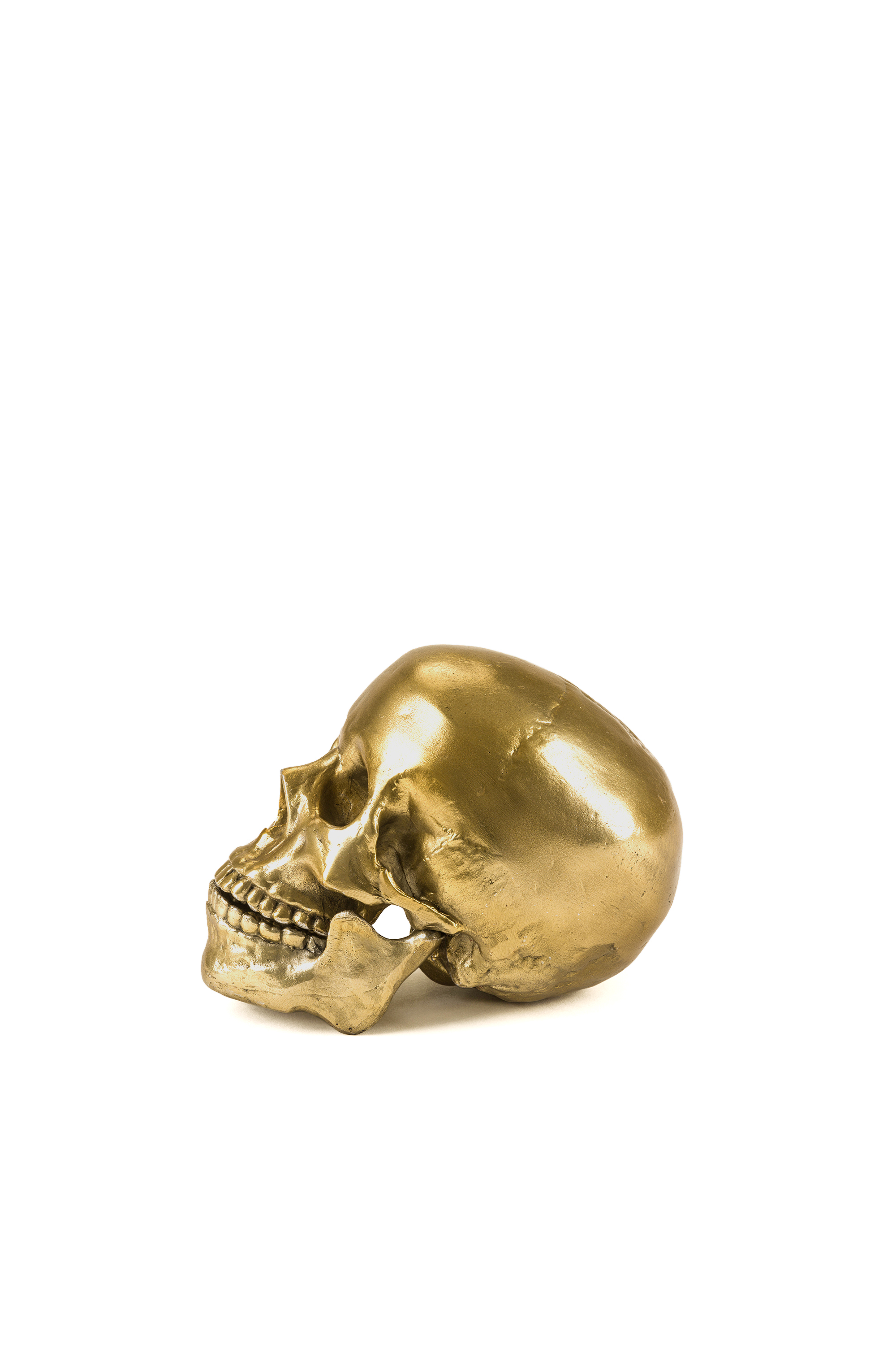 Diesel - 10891 Wunderkammer, Unisex's "Culture Skullture" Wunderkammer Human Skull in Gold - 2