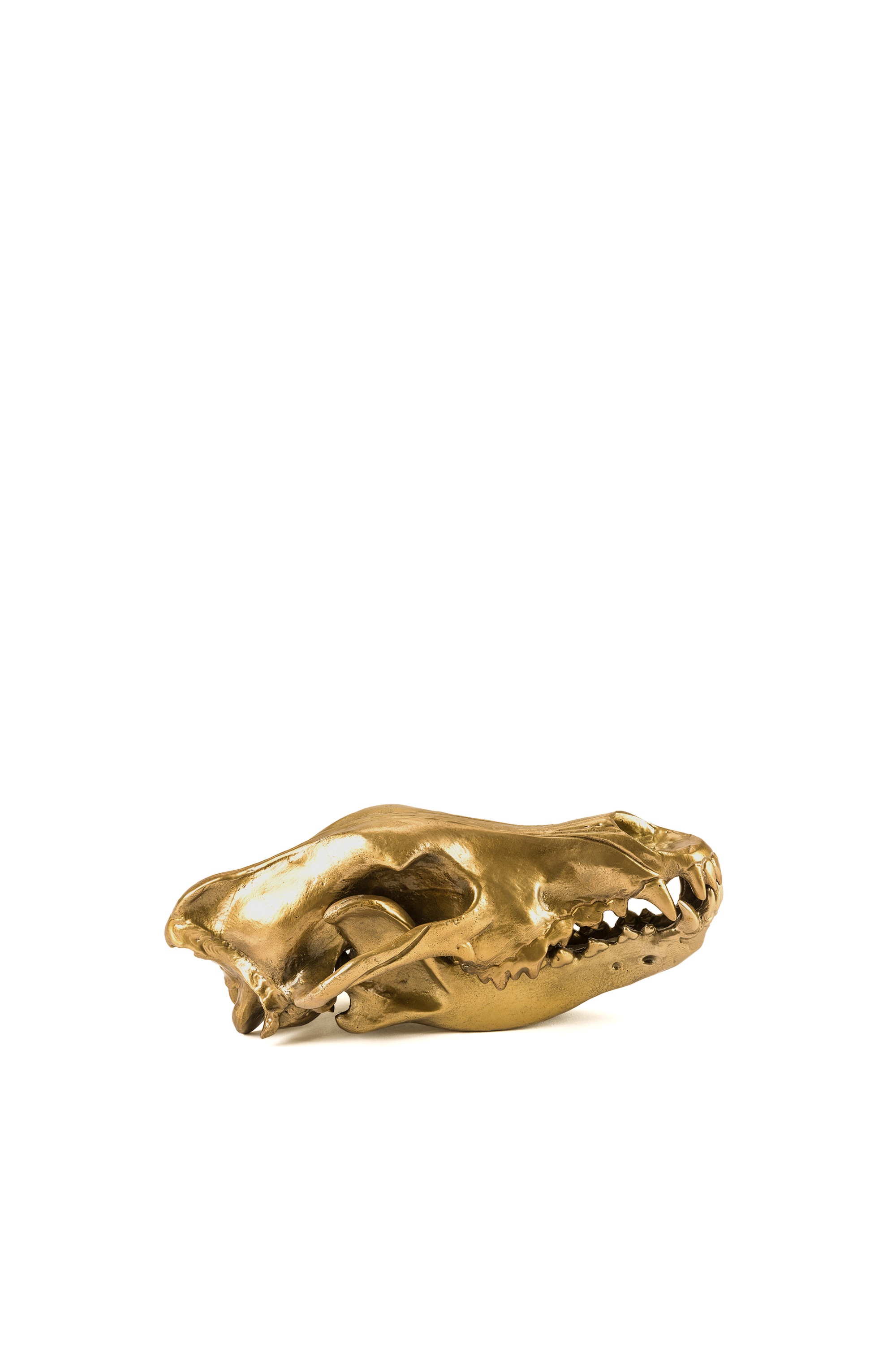 Diesel - 10892 Wunderkammer, Gold - Image 2
