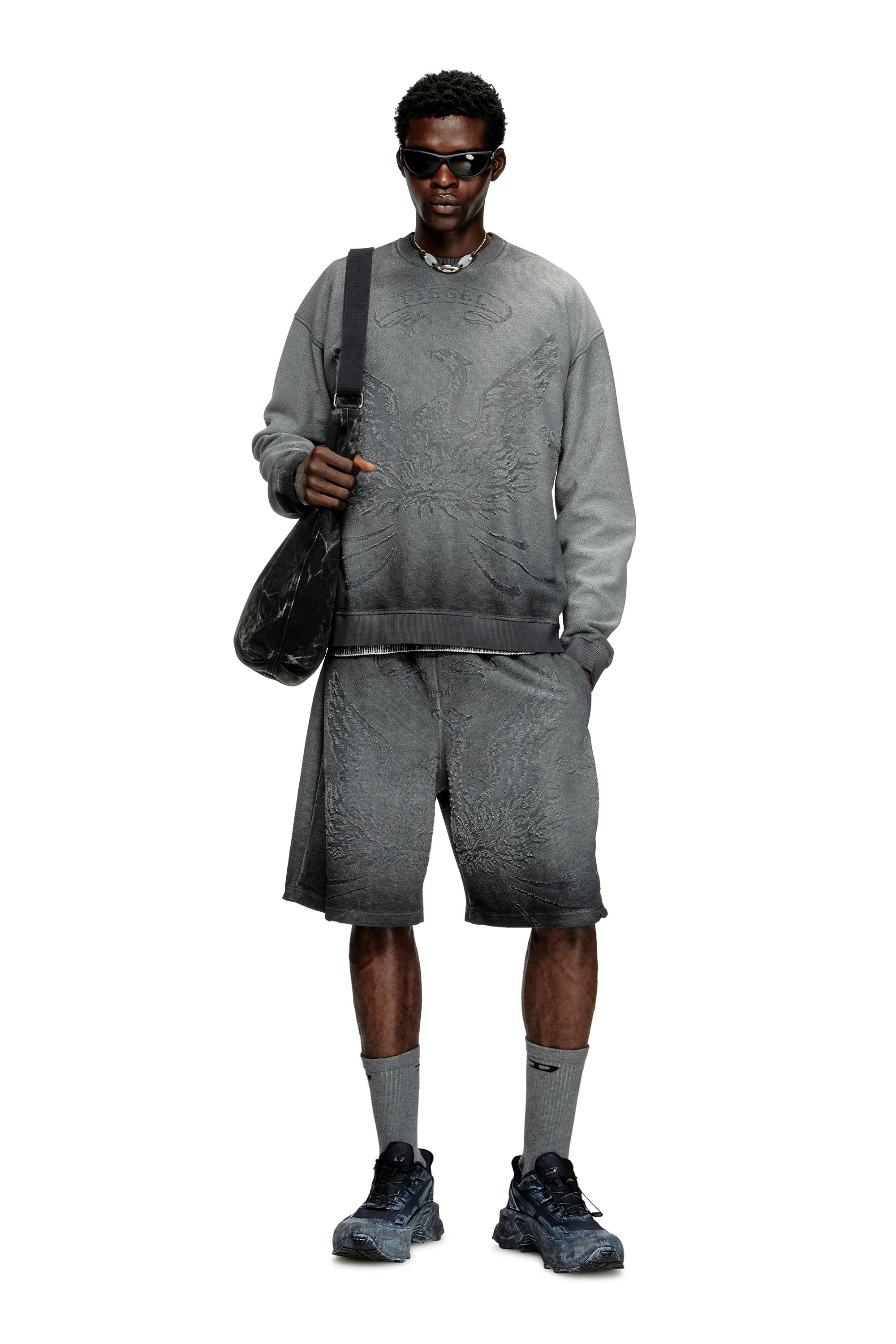 Diesel - S-ARON, Man's Faded sweatshirt with devoré Phoenix logo in Grey - 2