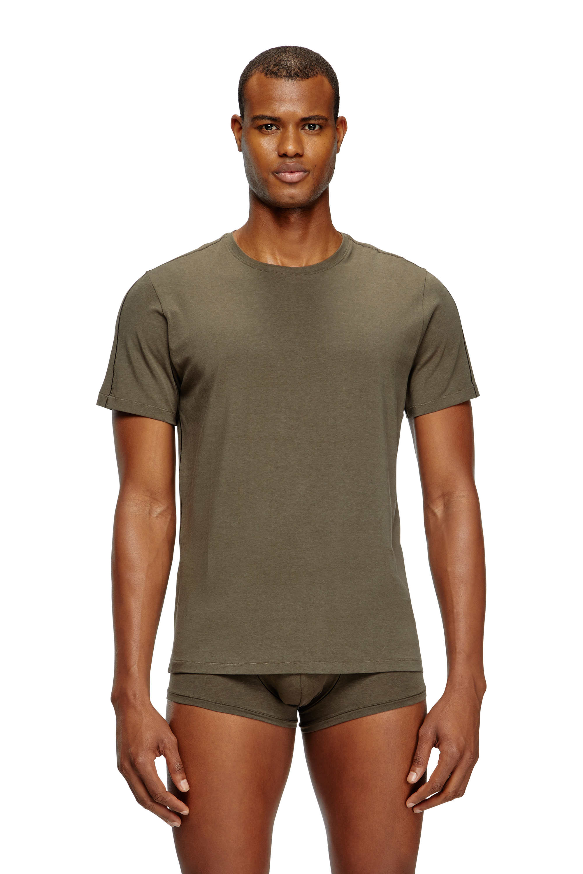 Diesel - RANDAL-D-MONO-2PACK, Man's 2-pack T-shirts in fluid jersey in Green/Blue - 2