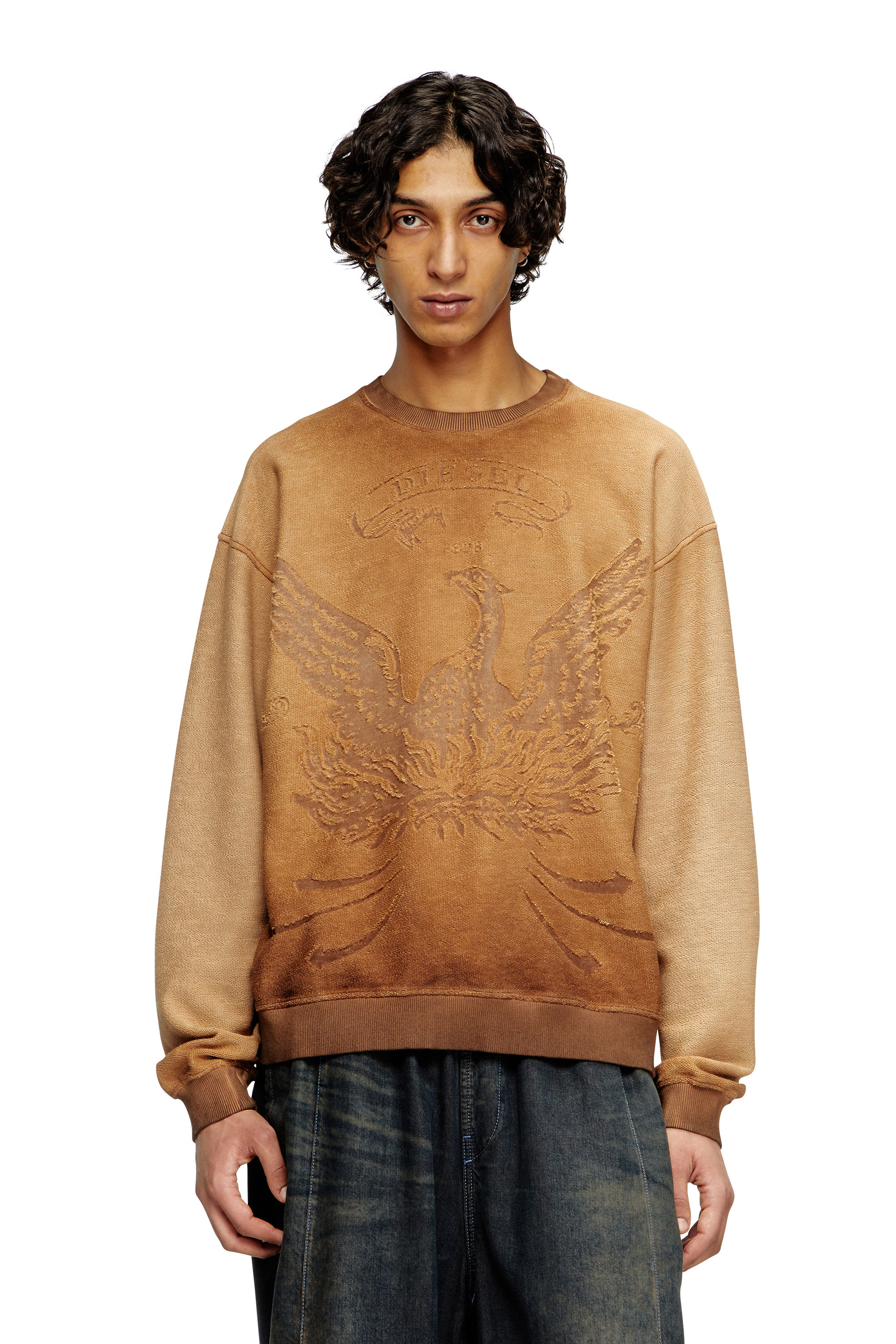 Diesel - S-ARON, Man's Faded sweatshirt with devoré Phoenix logo in Brown - 1