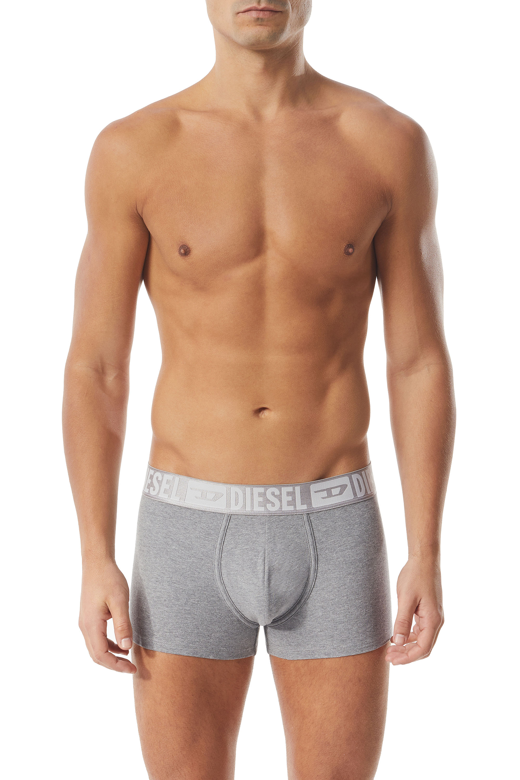 Diesel - UMBX-DAMIENTWOPACK, Grey/Black - Image 1