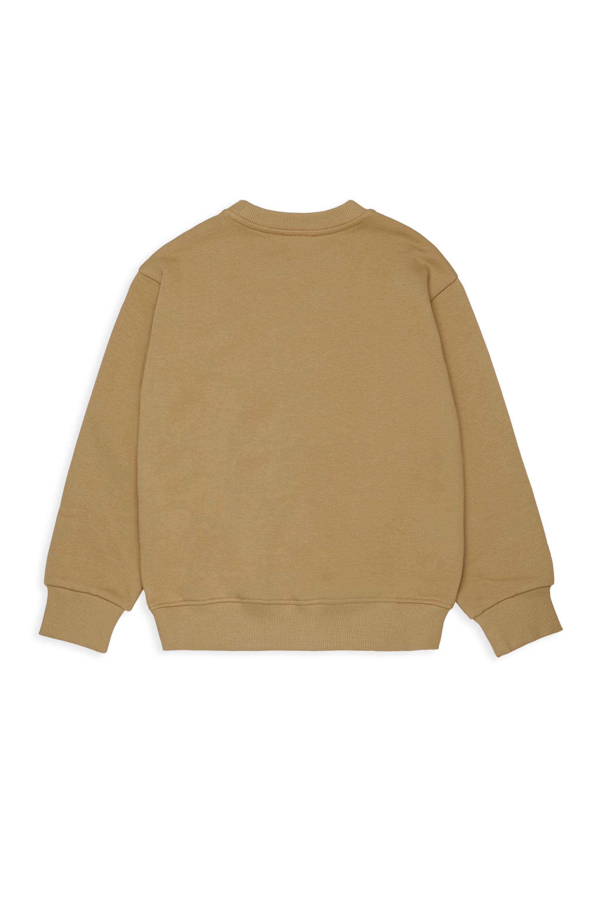 SLODIM OVER, Brown