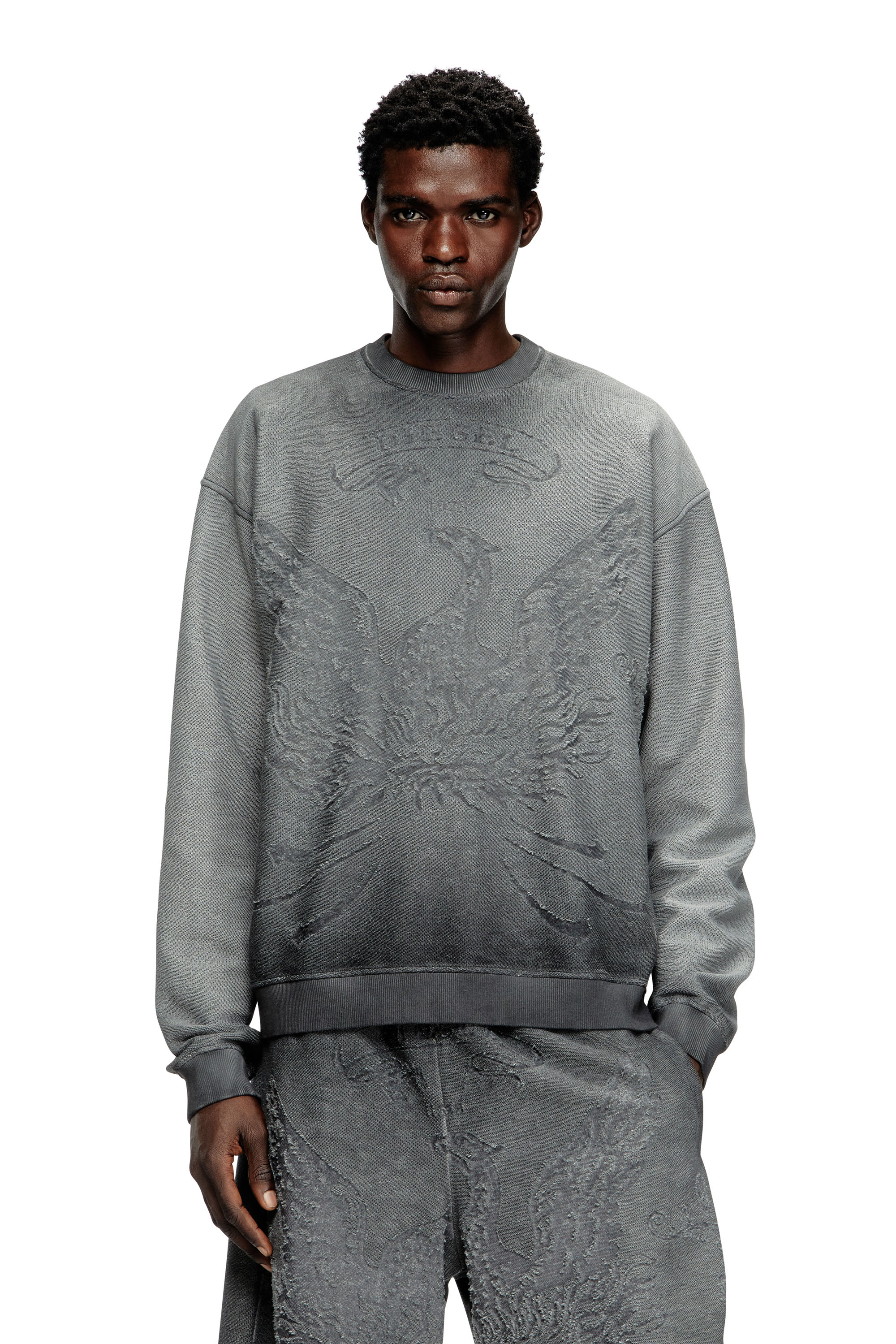 Diesel - S-ARON, Man's Faded sweatshirt with devoré Phoenix logo in Grey - 1